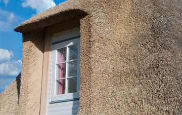 Canada thatch roof disadvantages